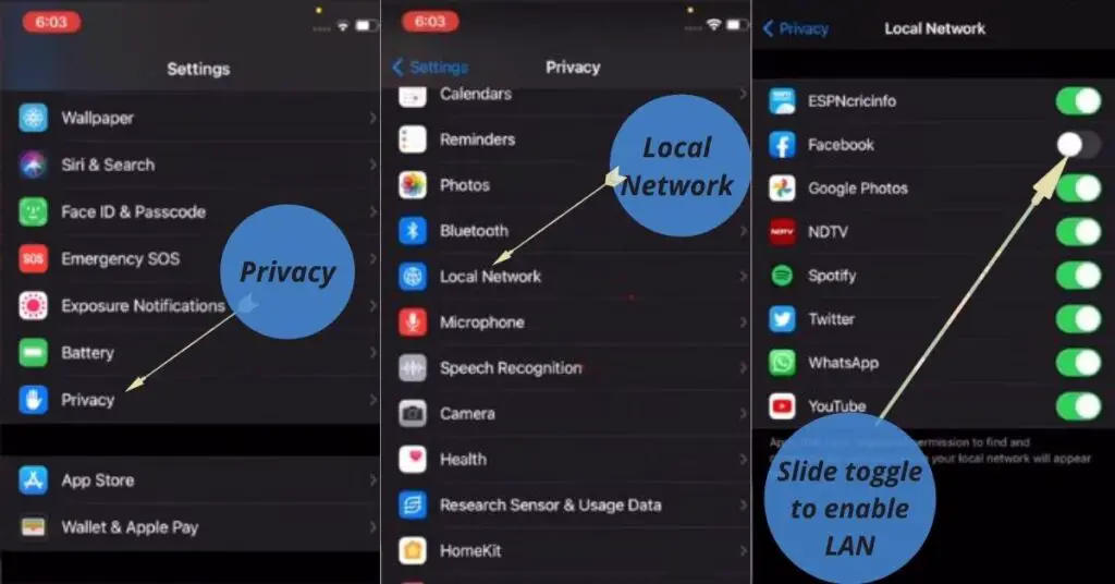 How to enable local network access on iPhone