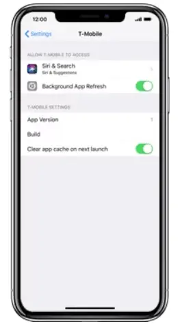 Clear app cache on iphone without deleting app